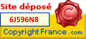 Logo site déposé Coptriht France