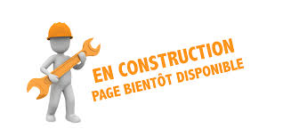 Page En construction